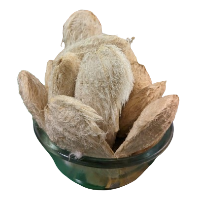 Dried Mango Seeds